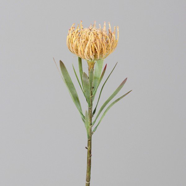 Umělá květina (výška 43 cm) Protea – Ego Dekor
