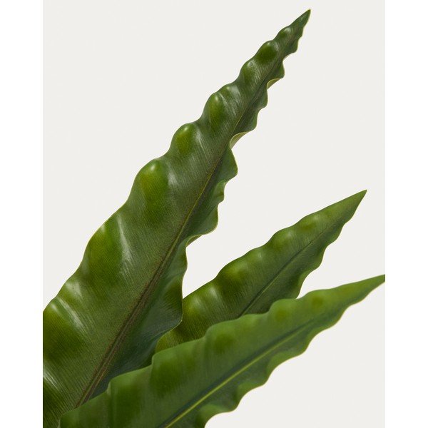 Umělý sukulent (výška 70 cm) Neottopteris – Kave Home-image-2