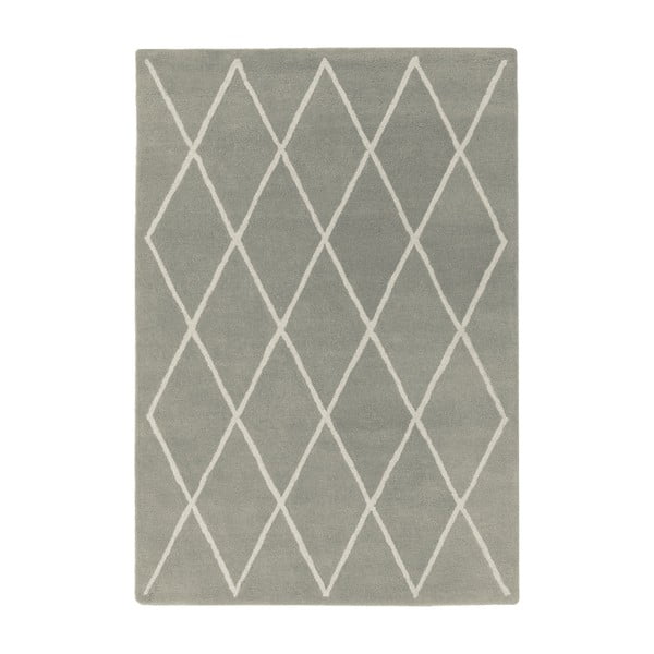 Šedý ručně tkaný vlněný koberec 200x290 cm Albany – Asiatic Carpets