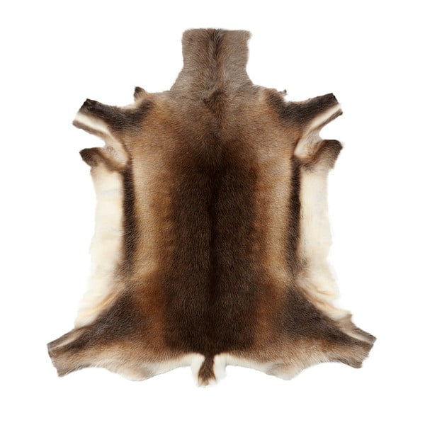 Sobí kůže Hübsch Reindeer
