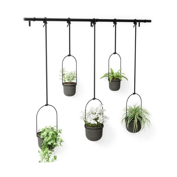 Plastové obaly na květináče v sadě 5 ks na bylinky/závěsné ø 7,5 cm Triflora – Umbra-image-4