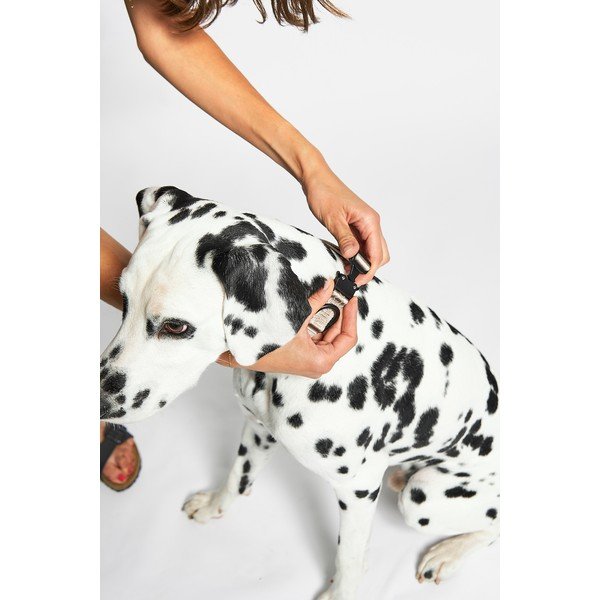 Béžový obojek velikost S/M délka 32 cm Modena Greige S/SM – MiaCara-image-2