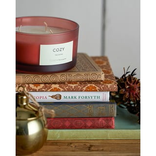 Vonná svíčka doba hoření 25 h Cozy Nectarine – ILLUME x Bloomingville