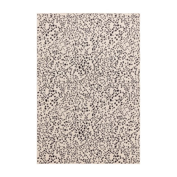Černo-bílý koberec 120x170 cm Muse – Asiatic Carpets