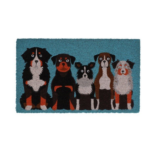 Rohožka z kokosového vlákna 45x75 cm – Esschert Design