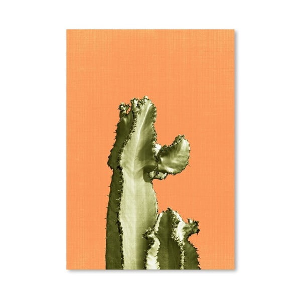 Plakát Cactus On Orange