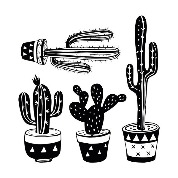 Sada 4 samolepek Ambiance Mexican Cactus-image-2