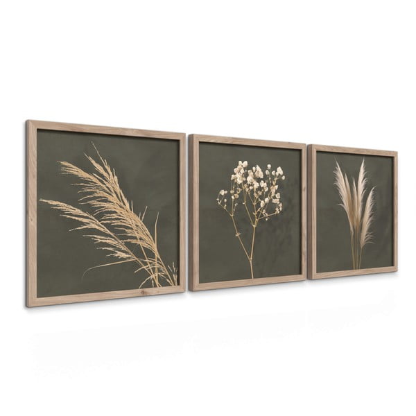 Obrazy v sadě 3 ks 30x30 cm Pampas – Styler-image-4