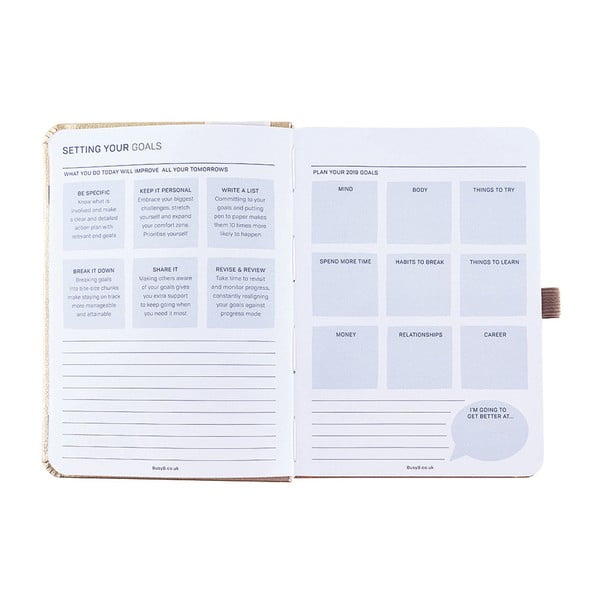 Diář pro rok 2019 s lepíky Busy B Goals-image-1
