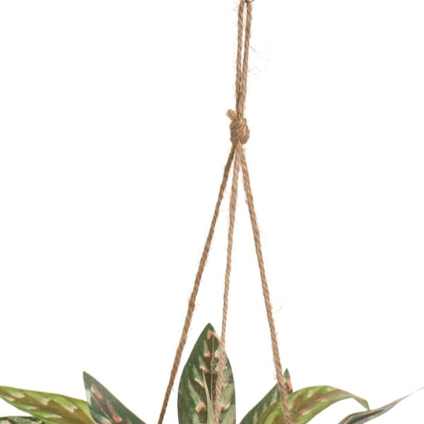 Umělá rostlina (výška 25 cm) – Casa Selección-image-2