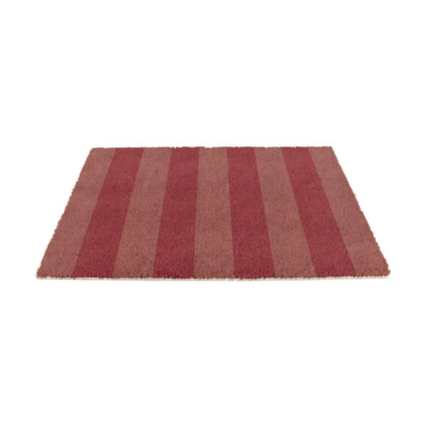 Rohožka z kokosového vlákna 40x60 cm Pink Stripe – Artsy Doormats