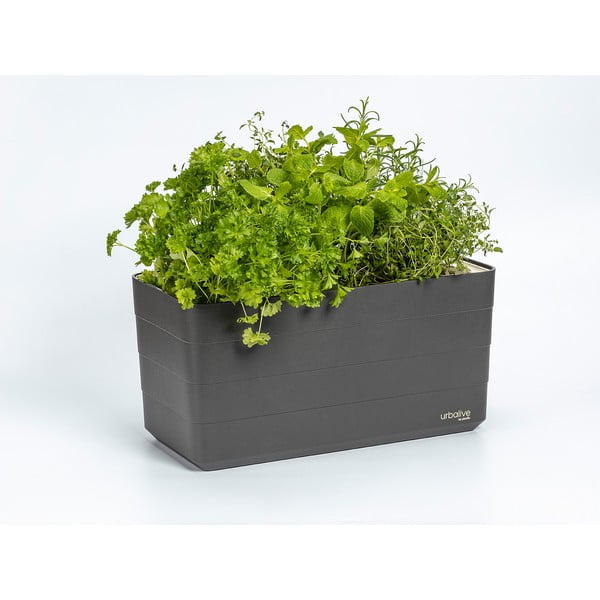 Plastový samozavlažovací truhlík 39,5 cm Berberis – Plastia-image-1