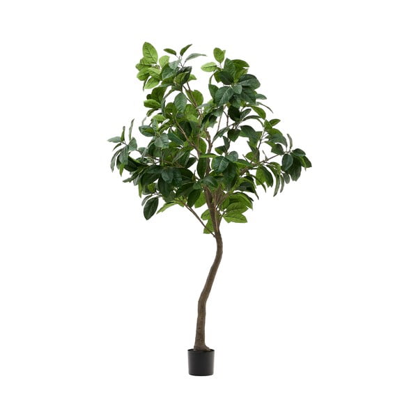 Umělý fíkus (výška 210 cm) Ficus – Kave Home