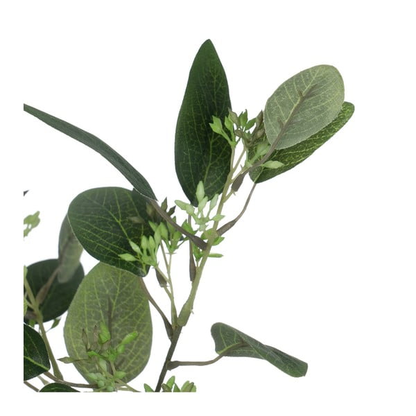 Umělý eukalyptus (výška 59 cm) – Ixia-image-1