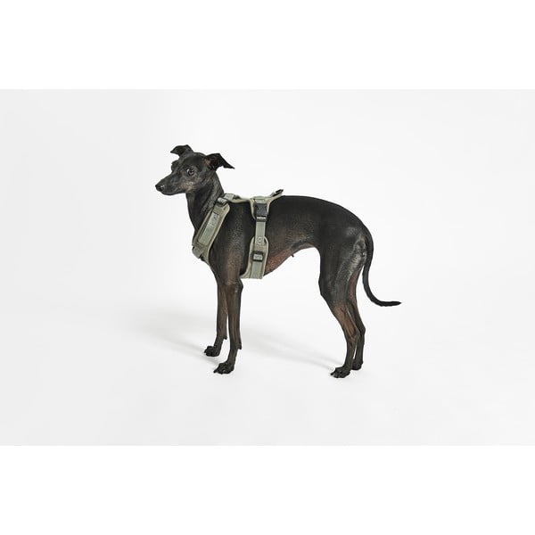 Zelený postroj velikost L délka 42 cm Modena Grolive L – MiaCara-image-1