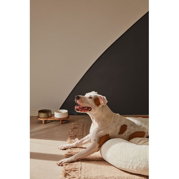 Keramické misky v sadě 2 ks pro psy Dumbi - Kave Home-image-4