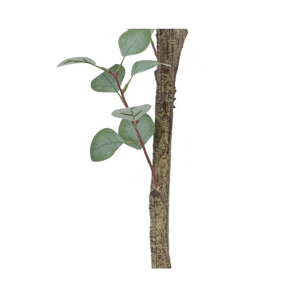 Umělý eukalyptus (výška 180 cm) Eucalyptus – Ixia-image-4