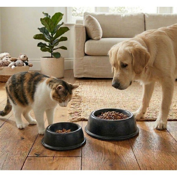 Kameninová miska pro domácího mazlíčka ø 21 cm – Casafina-image-2