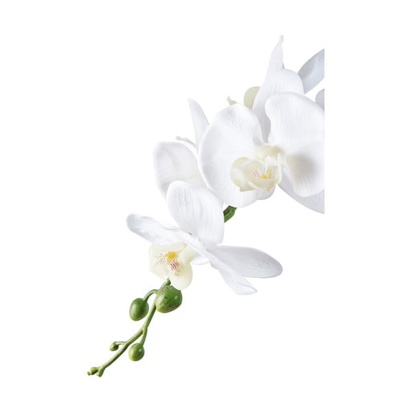 Umělá květina (výška 47 cm) Orchid – House Nordic-image-2