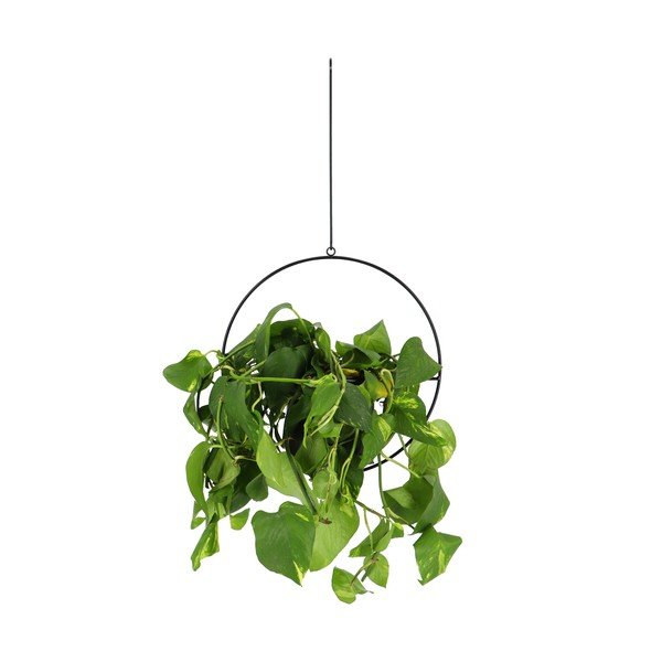 Černý závěsný držák na květináč Esschert Design Planter-image-1