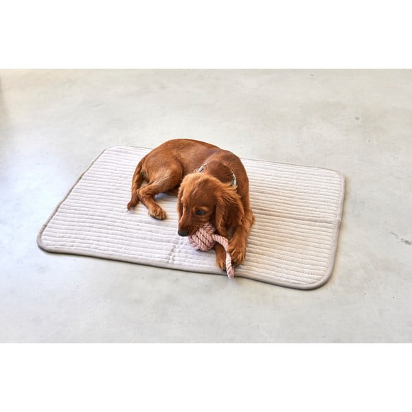 Béžová bavlněná deka pro psa 90x120 cm Onda Greige L – MiaCara-image-2