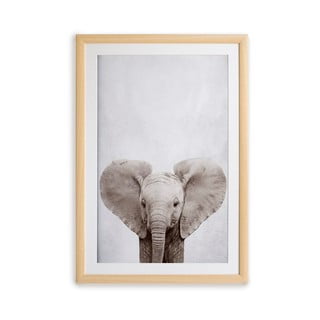 Nástěnný obraz v rámu Surdic Elephant, 30 x 40 cm