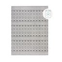 Šedý pratelný koberec z žinylky 80x160 cm Jhansi – Flair Rugs