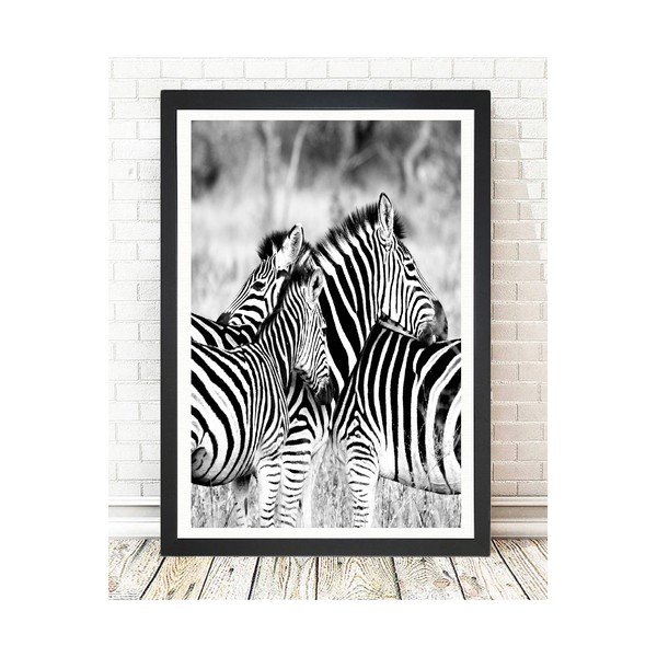 Obraz Tablo Center Zebras, 24 x 29 cm-image-1
