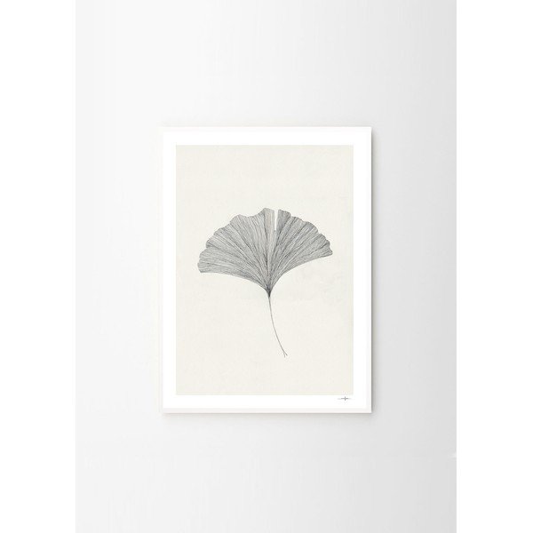 Plakát 50x70 cm Ginkgo Leaf – Ana Frois – The Poster Club-image-4