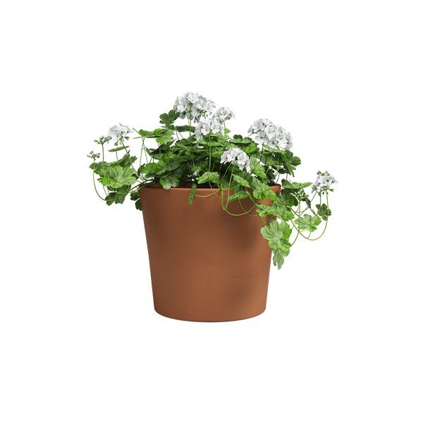 Květináč z terakoty ø 39 cm Manuel – Artevasi-image-2