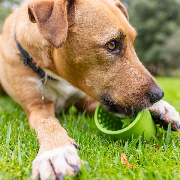 Lízací miska Yoggie Pot Green – LickiMat-image-4