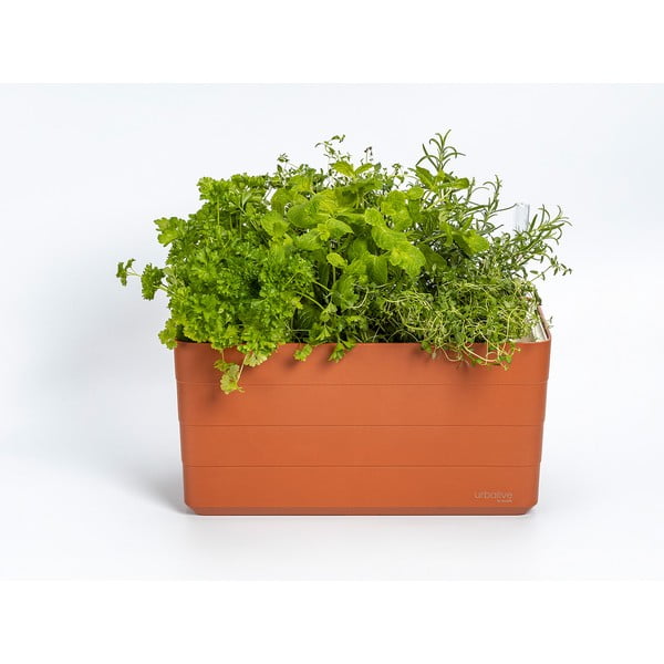 Plastový samozavlažovací truhlík 39,5 cm Berberis – Plastia-image-1