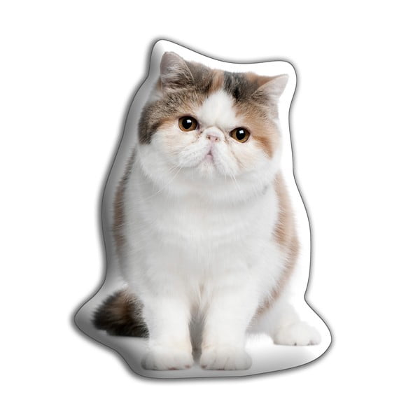 Polštářek s potiskem Exotické krátkosrsté kočky Adorable Cushions