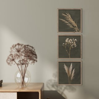 Obrazy v sadě 3 ks 30x30 cm Pampas – Styler