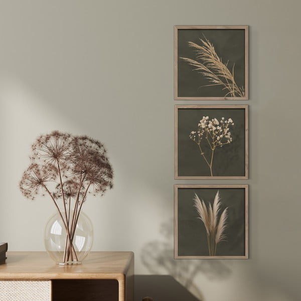 Obrazy v sadě 3 ks 30x30 cm Pampas – Styler-image-1