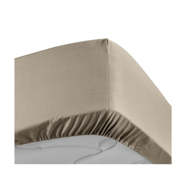 Světle hnědé napínací prostěradlo z bavlněného perkálu 90x190 cm Percaline – douceur d'intérieur-image-3