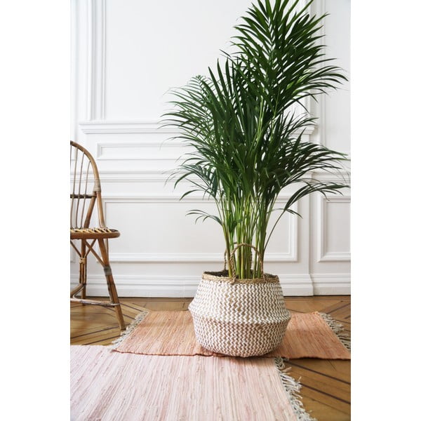 Světlý úložný košík z mořské trávy Compactor Zic Zac, ⌀ 35 cm-image-2