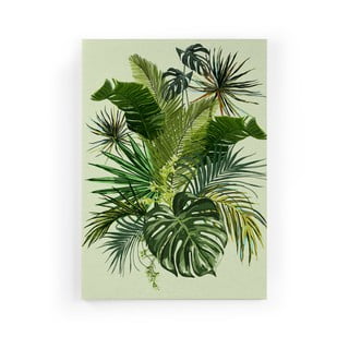Obraz na plátně Really Nice Things Tropical, 40 x 60 cm