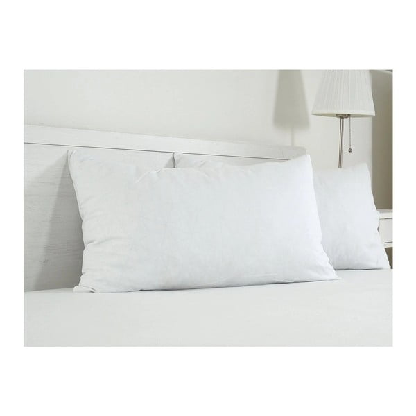 Bavlněný povlak na polštář 45x75 cm Visco – B.E.S.-image-2