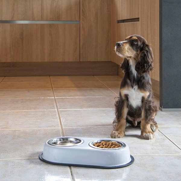 Plastový set misek s podstavcem pro psa – Love Story-image-1