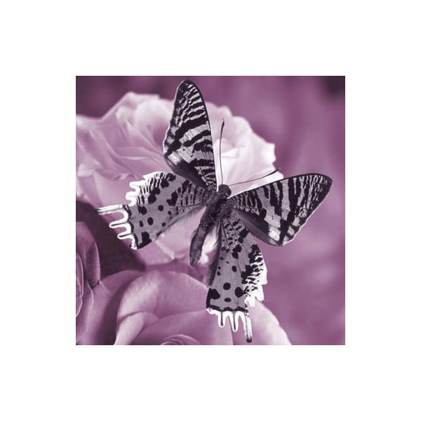 Obraz na skle Motýl I, 30x30 cm