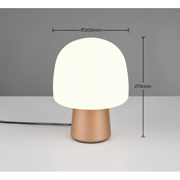 Stolní lampa v bílo-bronzové barvě se skleněným stínidlem (výška 27 cm) Steen – Trio-image-3