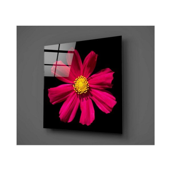 Černo-červený skleněný obraz Insigne Flowerina, 30 x 30 cm