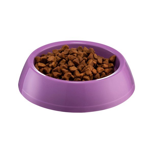 Fialová miska pro psa Petpetite, ø 14 cm-image-1