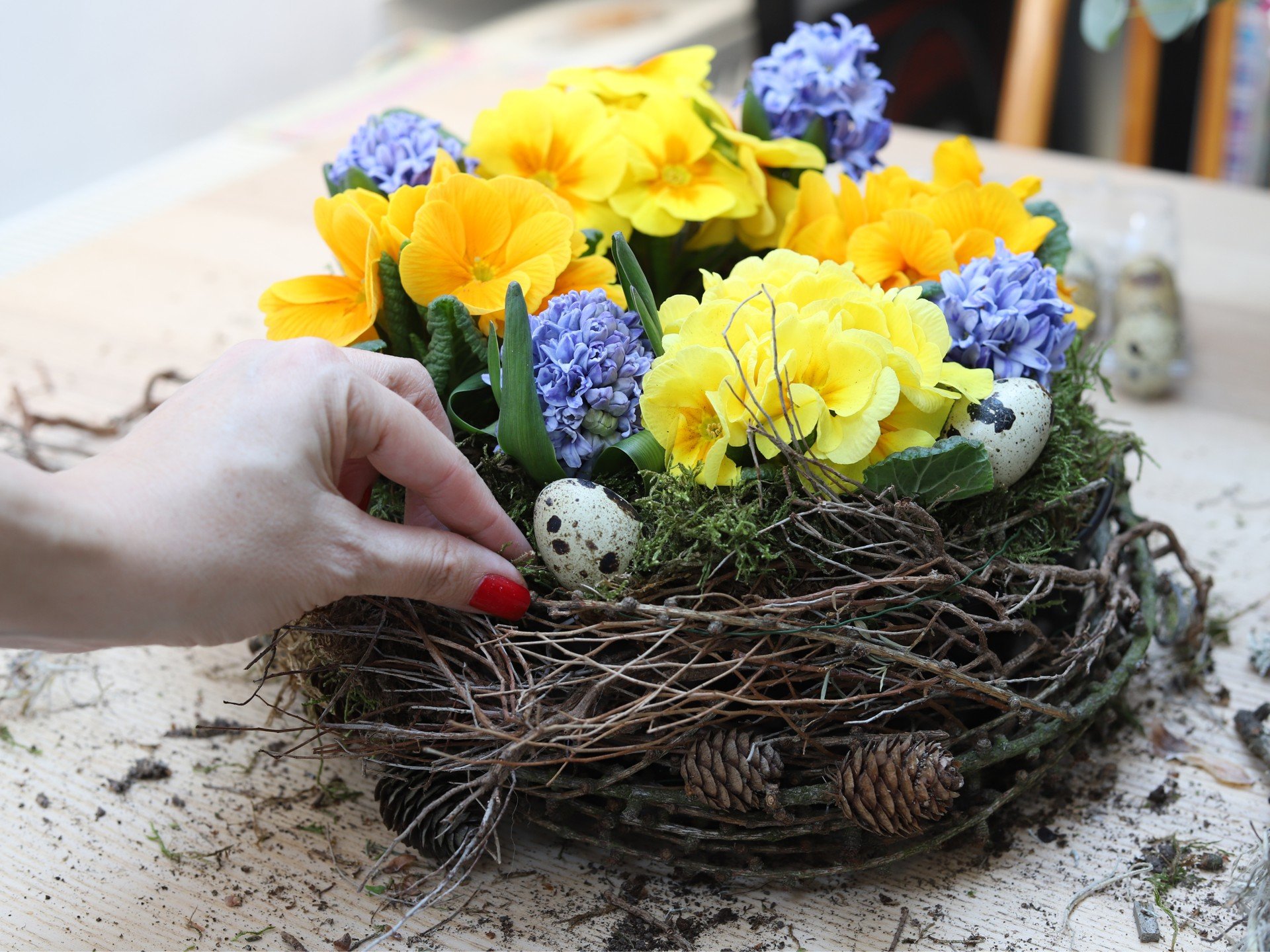 Petrklíče, hyacinty a jiné jarní cibuloviny zasazené ve formě na bábovku.