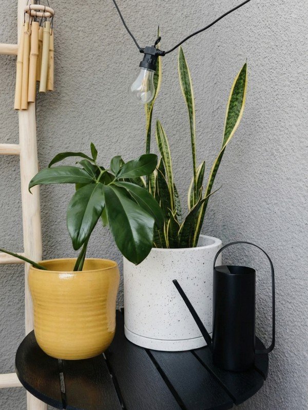 Inspirace: Balkon a terasa, Zahrada