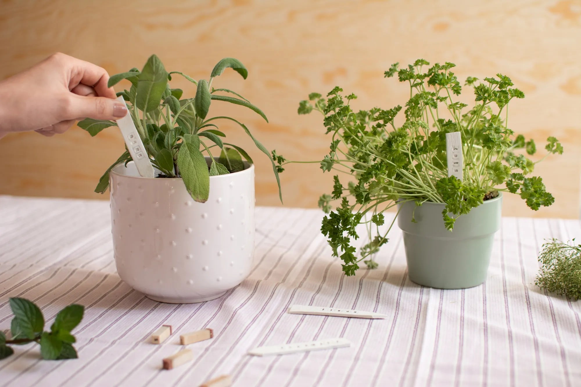Pořiďte si praktické štítky na bylinky, ať víte, co jsou jednotlivé rostlinky zač! Můžete si je i vyrobit ze samotvrdnoucí hmoty.