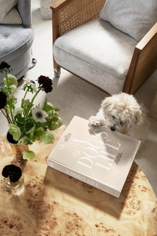 Inspirace: Prémiové značky, Domácí mazlíčci