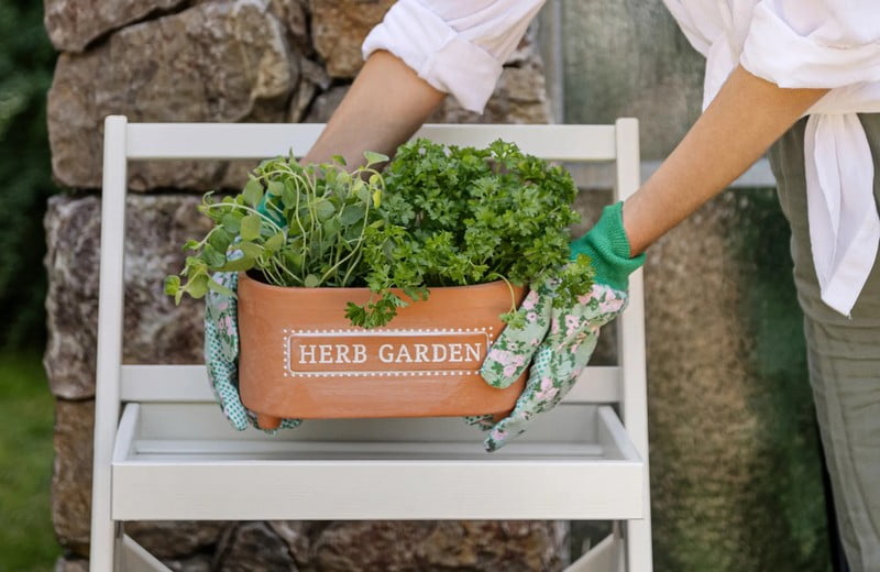 Jarní inspirace: Tipy pro pěstování doma i na zahradě