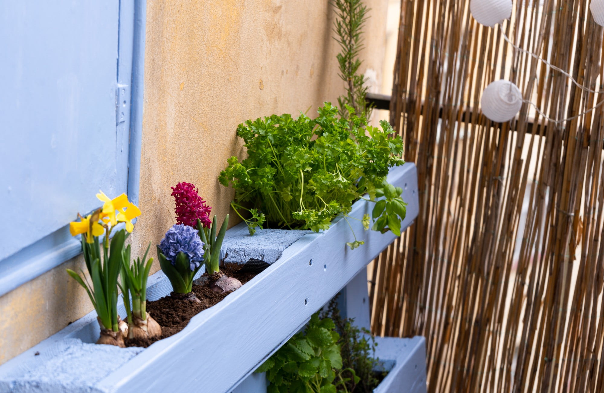 I na malém balkoně můžete pěstovat spoustu bylinek a zeleniny.